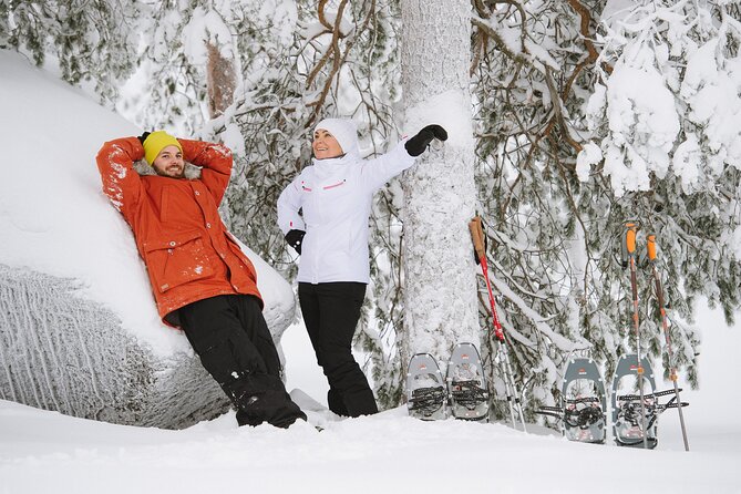 Premium Snowshoeing in Pyhä-Luosto National Park - What to Bring