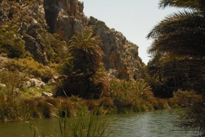 Preveli Palm Beach Tour From Rethymno - by Private Boat - Reviews
