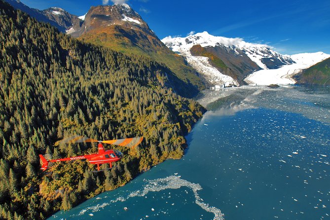 Prince William Sound Tour With Glacier Landing From Girdwood - Aerial Views and Wildlife Spotting
