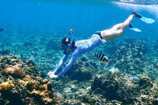 Private 1/2 Day Morning Charter Snorkel or Cruise on Shady Grady - Tour Highlights