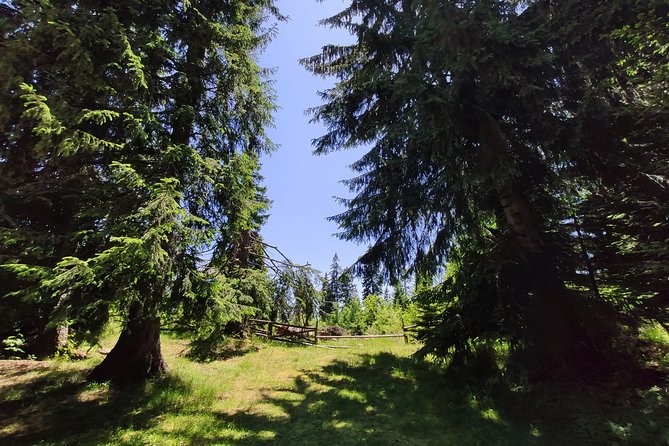 Private 2-Day Horseback Riding in Rhodope Mountains From Plovdiv - Overnight Stay in Local Bungalow