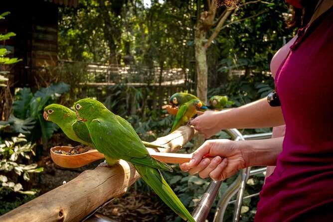 Private 3-Day Iguazu Falls Tour - Reviews and Ratings
