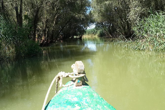 Private 3-Day Tour Danube Delta Birdwaching and Safari Experience From Bucharest - Tour Difficulty and Accessibility