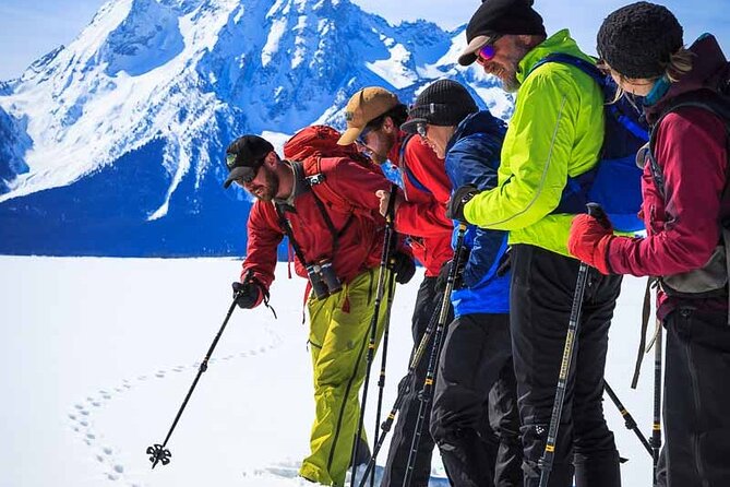 Private 4 Hour Snowshoe in Grand Teton National Park - Tips for Your Adventure