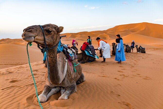 Private 8 Days Trip in Morocco - Frequently Asked Questions
