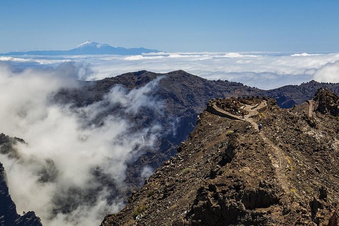 Private 8-Hour Shore Excursion to El Teide + Cable Car With Guide and Driver - Private Guide and Driver