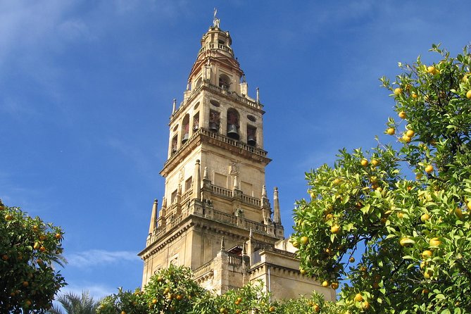 Private 9-Hour Tour to Cordoba From Granada With Hotel Pick up & Drop off - What to Expect