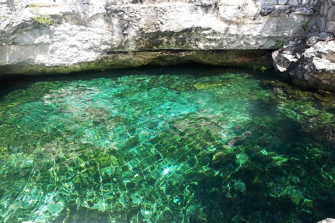 Private Akumal & Cenotes Tour - Reviews and Experiences