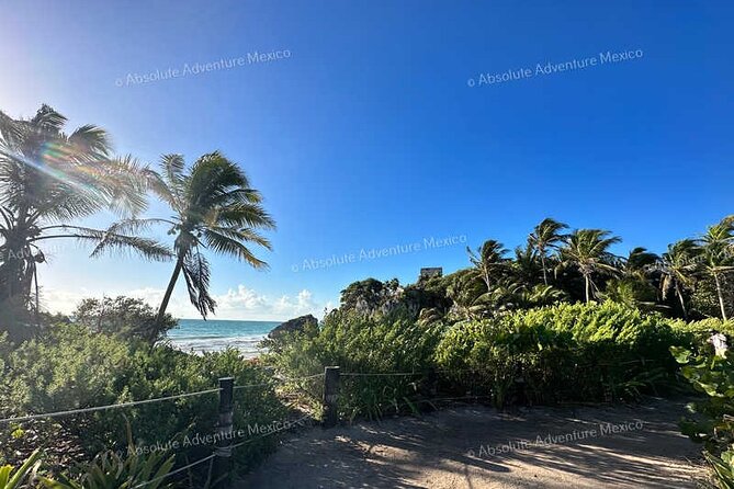 Private Archaeological Tour to Coba and Tulum Mayan Ruins - Mayan History and Culture