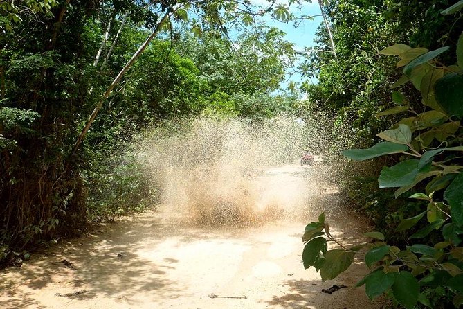 Private ATV Jungle Explorer Tour - Tour Highlights
