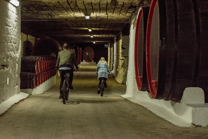 Private Bike Tour to Cricova Winery With Wine Tasting and Lunch - Important Considerations