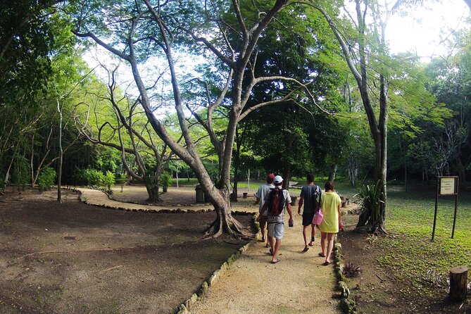 Private Birdwatching Tour in Sian Kaan Muyil - Tour Overview