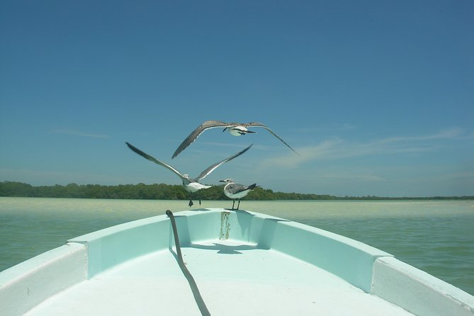 Private Boat to Visit Holbox Surroundings (3-Island Tour) - Customer Experiences and Feedback