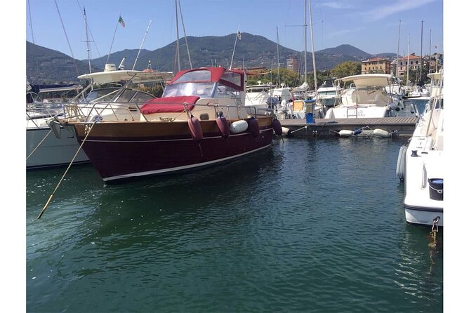 Private Boat Tour From La Spezia to the 5 Terre - Customer Reviews and Feedback