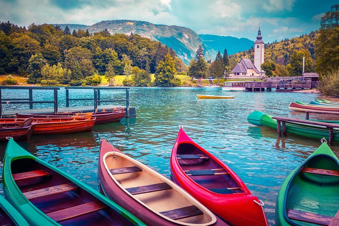 Private Bohinj & Vogel Tour From Bled - Reviewing the Tour Experience