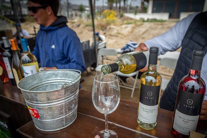 Private Boutique Wine Tour in Valle De Guadalupe - Tour Highlights