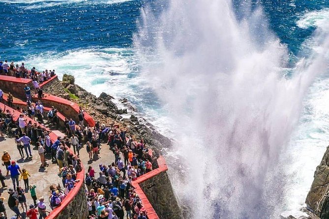 Private Bufadora Blowhole & Market Scenic Tour W/ Options - Accessibility and Accommodations