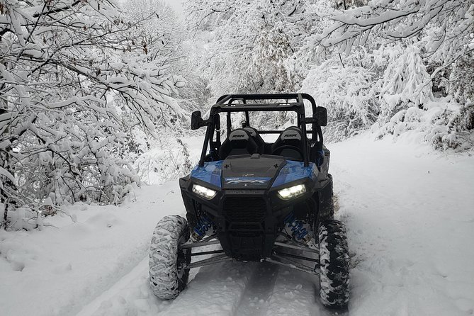 Private Buggy Experience All Seasons in Pamporovo - Tour Highlights
