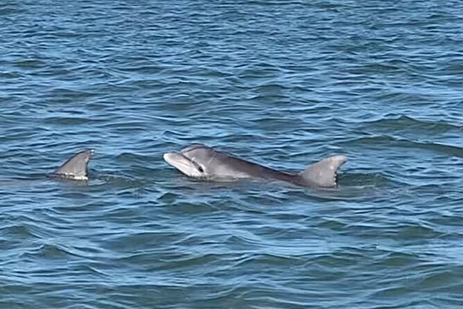 Private Charleston Sunset & Dolphin Cruise - Customer Experiences and Reviews