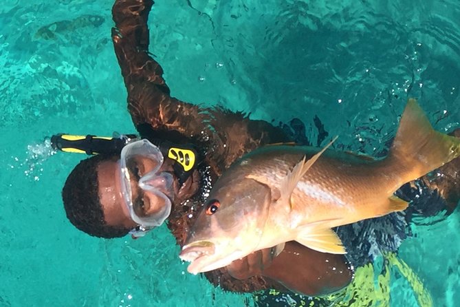 Private Charter -Inner Reef Trolling/Spin Casting + Island Stop - Cancellation and Accessibility