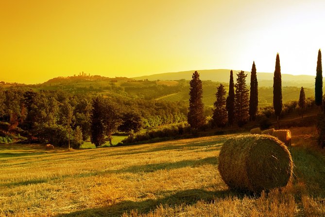 Private Chianti and Supertuscan Tour 2 Wineries With Light Lunch From Livorno - Booking Confirmation and Accessibility
