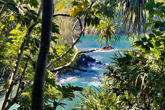 Private Custom Van Full-Day Guided Tour on Big Island of Hawaii - Customizing Your Experience