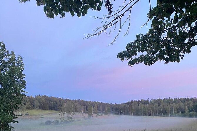 Private Day Road Trip From Helsinki: Raseborg, Fagervik, Porkkala - Dining and Refreshments