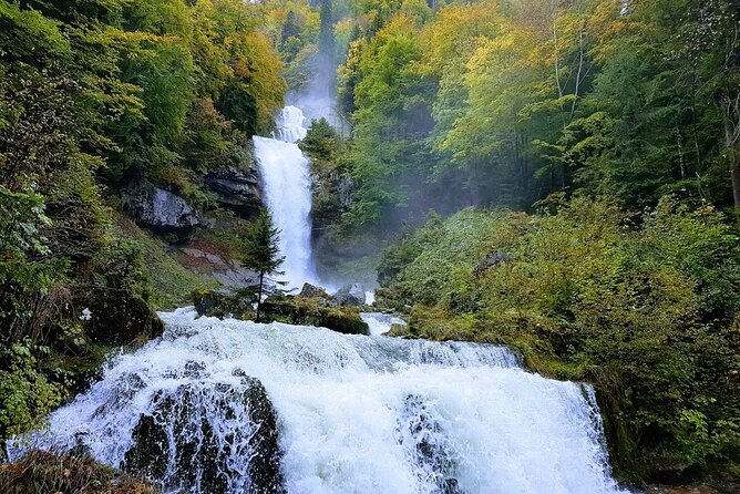 Private Day Tour From Interlaken: Lake, Gorge & Waterfall - Past Guest Reviews