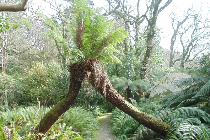 Private Day Tour From the Centre to the Highest Point in Sintra. - Cancellation Policy