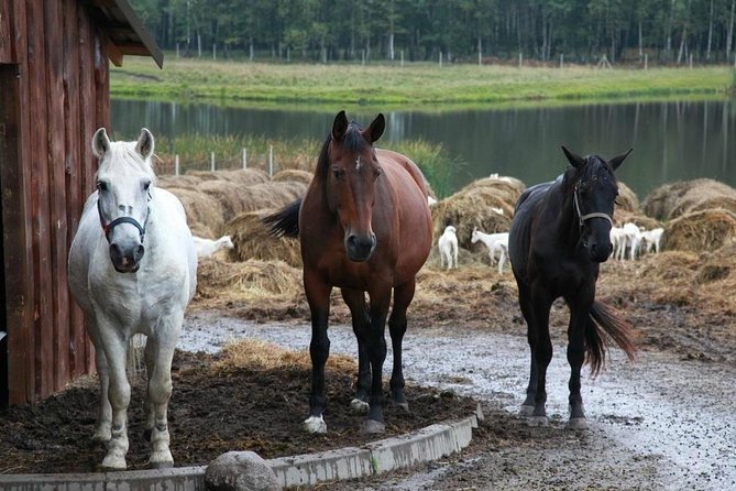 Private Day Tour From Vilnius to Goat Cheese Farm and Kernave Historical Capital - Booking and Cancellation