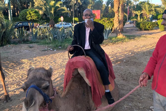 Private Day Trip to Marrakech From Casablanca - Exploring Marrakechs Highlights