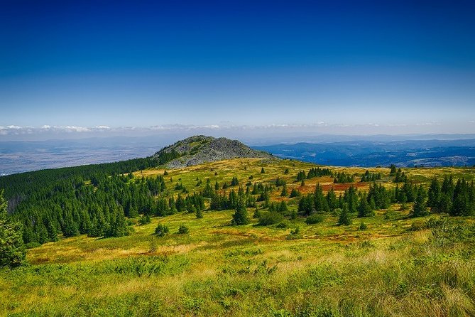 Private Day Trip to the Vitosha Mountain and Pancharevo Lake - Reviews and Ratings