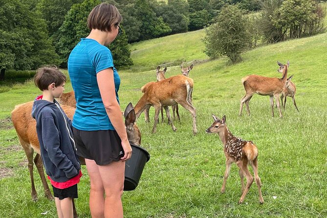 Private Deer Park Tour and Day Out in Leek - Scenic Views and Peaceful Surroundings