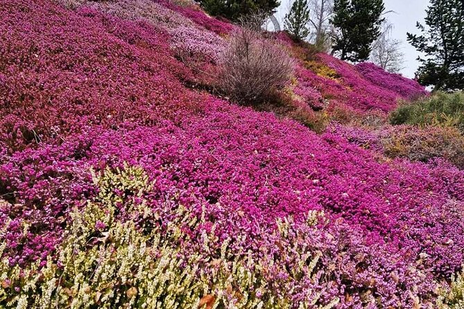 Private Digital Puzzle Tour in the Stuttgart Killesberg Heights Park - Booking and Cancellation Policy