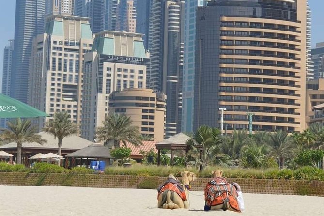 Private : Dubai Full Day City Sightseeing Tour - Explore Al Fahidi Historical Neighborhood