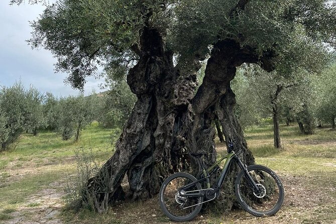 Private E Bike Tour in the Olivata Area Assisi Spello Foligno - Highlights of the Tour