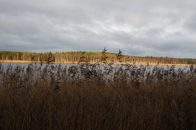Private Excursion to Sculpture Park and Museum With Scenic Drive - Accessibility and Participation