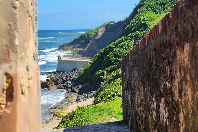 Private Exotic Beaches and West Coast Sunset Full Day Tour - Witness West Coast Sunset