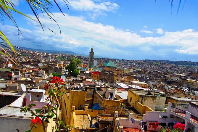 Private Fes Old Town Tour With Guide and Sightseeing With Driver - Exploring Fes Old Town