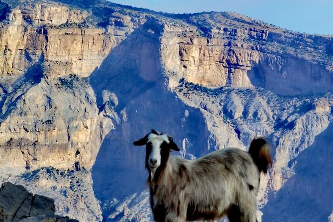 Private Full Day Guided Balcony Walk Hiking to Jebel Shams - Accessibility and Safety Information