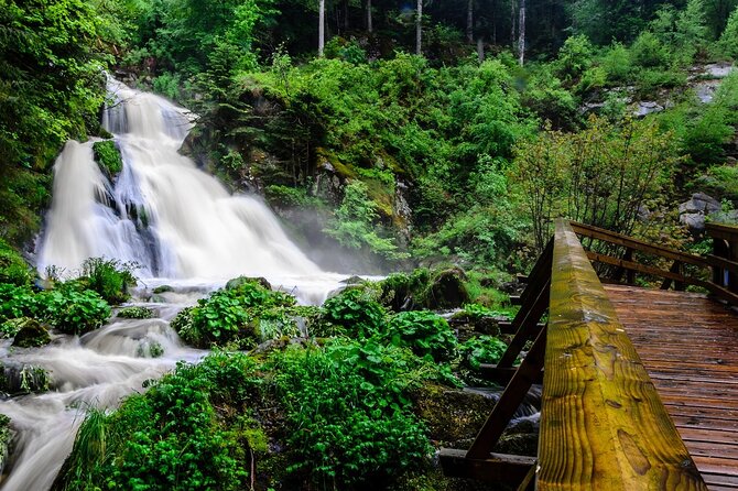 Private Full Day Tour in Badens Black Forest - Booking and Cancellation