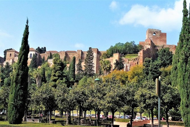 Private Full Day Tour in Malaga From Costa Del Sol - Pricing and Discounts