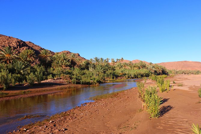 Private Full-Day Tour of Ouarzazate and Oasis Fint - Oasis Fint Experience
