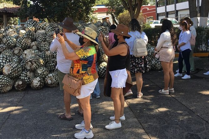 Private Full-Day Tour to Tequila Pueblo Magico - Tequila Sampling and Distilleries