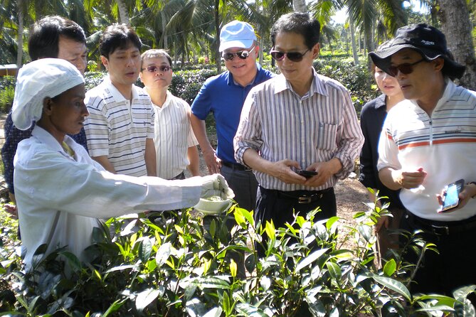 Private Galle Day Tour With Boat Safari & Tea Factory Visit - All Inclusive - Pricing Details