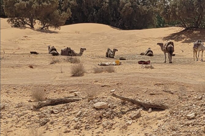 Private Getaway in the Desert Like No Other - Unique Activities Offered