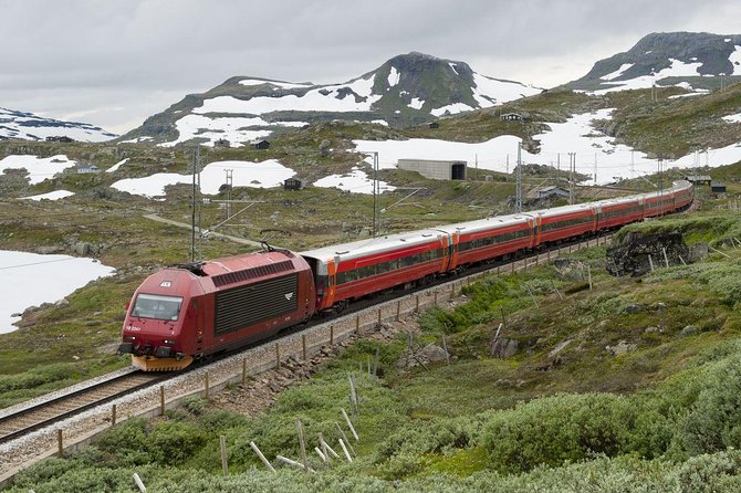 Private Guided Day Tour - RIB Sognefjord Safari and Flåm Railway - Fjord Safari Experience