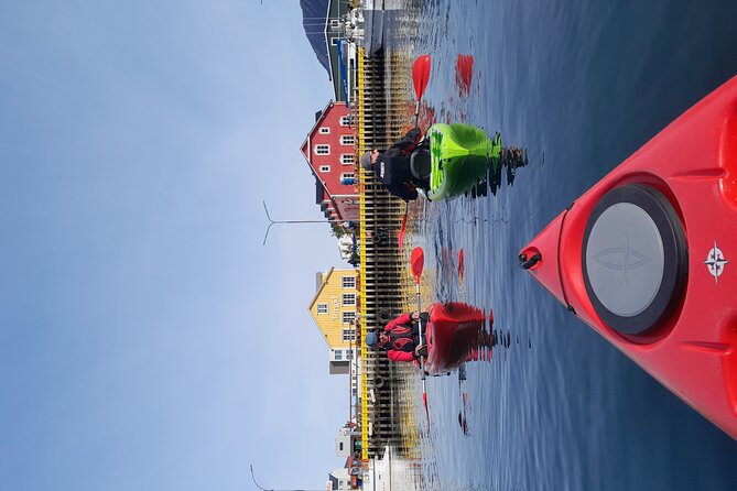 Private: Guided Kayak Tour in Siglufjörður / Siglufjordur. - Cancellation Policy
