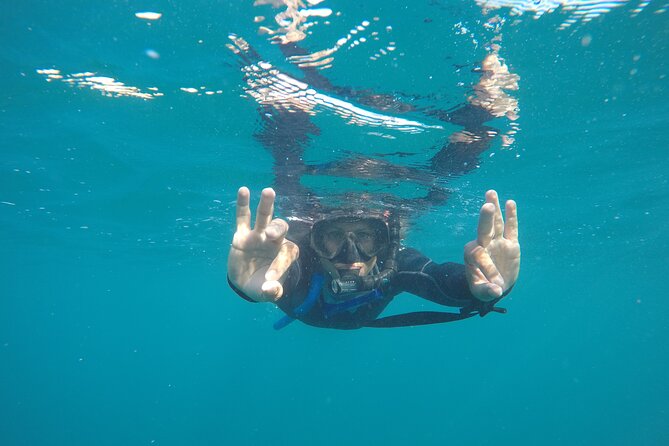 Private Guided Snorkeling in Cabo San Lucas - Booking Confirmation and Availability