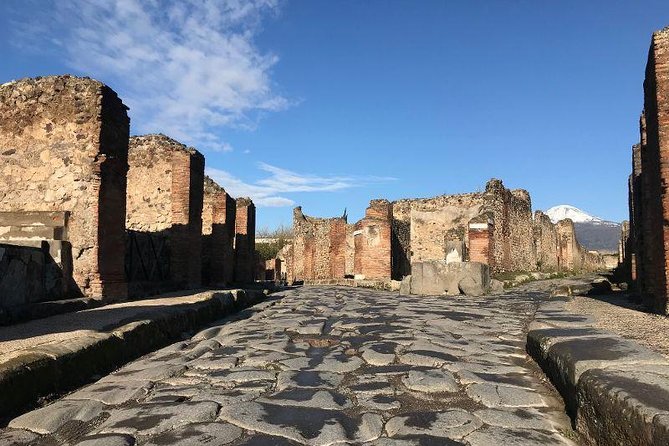Private Guided Tour. Experience the Everyday Life of the Eternal Town of Pompeii - Health Restrictions
